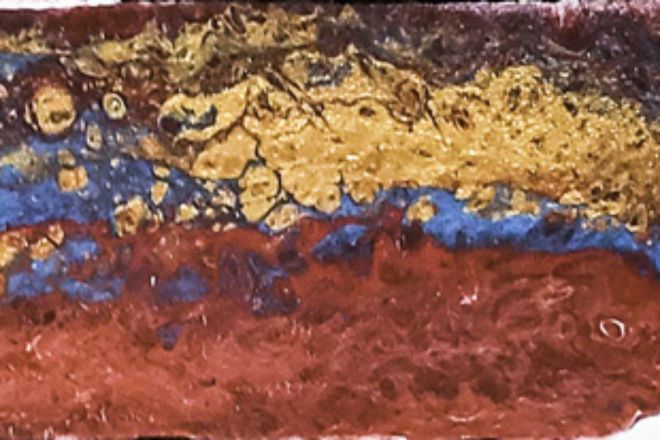 Collision Course | 10x72 | Wood | Available